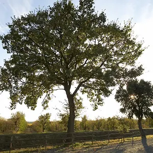 Agriturismo Lucerna Del Lago Prile Castiglione della Pescaia